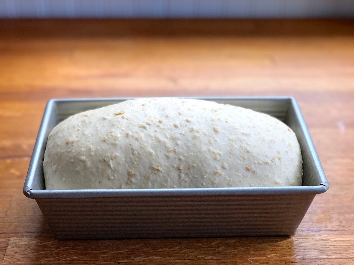 Loaf of oatmeal bread in a sandwich bread pan, risen and ready to bake